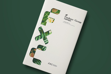 大城县样本册设计：以系统呈现，筑牢城市产业的坚实根基